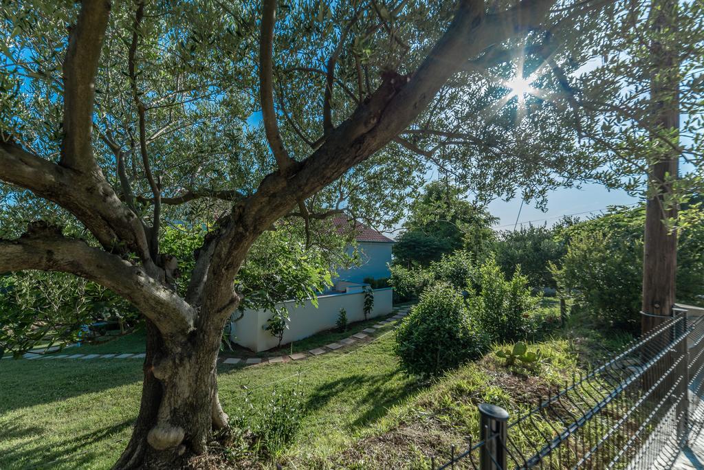 Apartment Robinson Podvrsje Kültér fotó