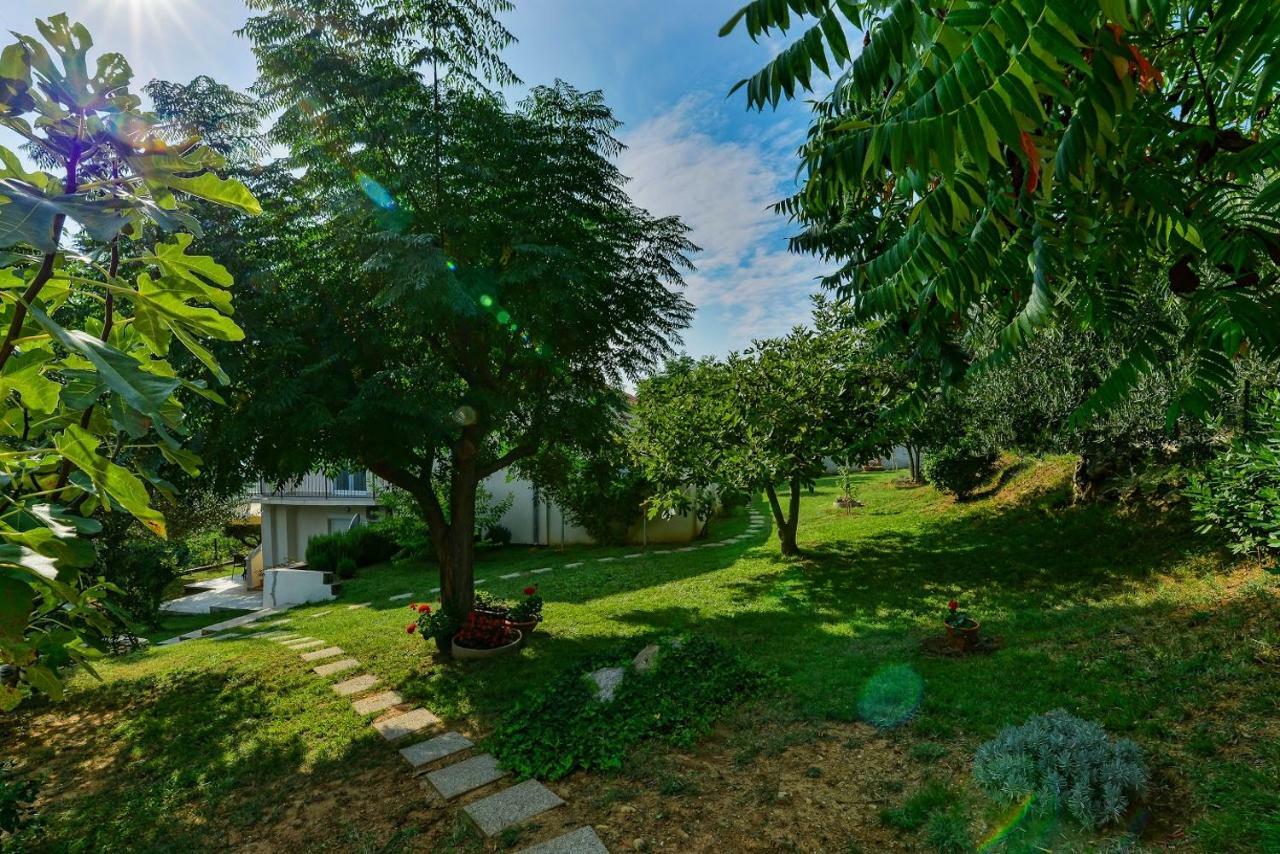 Apartment Robinson Podvrsje Kültér fotó